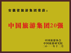 2011年度中国尊龙凯时集团20强