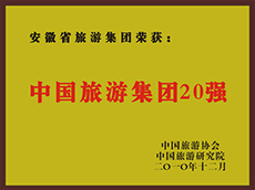 2010年度中国尊龙凯时集团20强