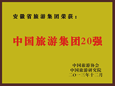 2013年度中国尊龙凯时集团20强