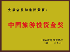 2011年度中国尊龙凯时投资金奖