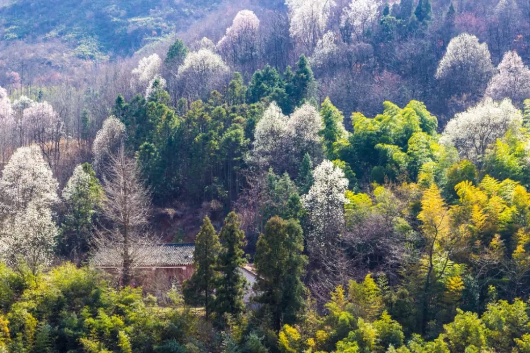 春游江淮请您来丨向着红土地的方向，，，，，，，春游皖西